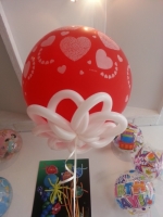 Balloon Flower under perfectly round balloon