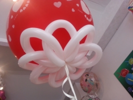 Balloon Flower under perfectly round balloon
