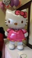 Kitty Balloons