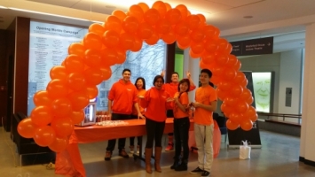 Balloon arch