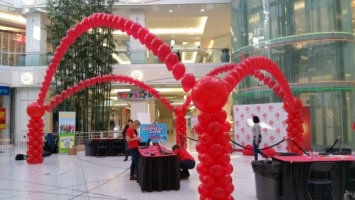 Balloon Canopy - Balloon Studio Vancouver