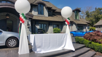 Drape Balloon Columns for a Lamborghini Event